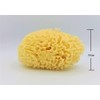 Natural Sea Sponge Body Sponge L