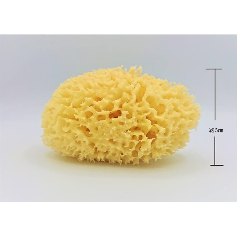 Natural Sea Sponge Body Sponge L
