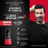Shampoo Grisi Organogal Negro Intenso 400ml