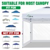 Acepic Clear Canopy Sidewalls for 10x10 Pop Up Tent, Transparent