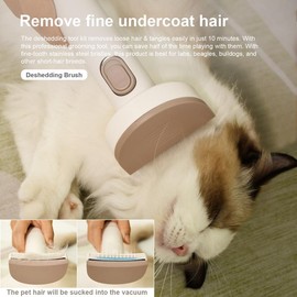 Pet Grooming - Hair Trimming and Grooming for Dogs and Cats Cleaning