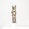 Treleaf - Zella Regular Starter Kit- Wooden Extendable Plant Support