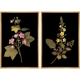 SIGNFORD Framed Canvas Print Wall Art Botanical Elegance, Floral on Black Background Nature Wilderness Illustrations Modern Art Decorative Rustic for Living Room, Bedroom, Office - 24"x36"x2 Natural