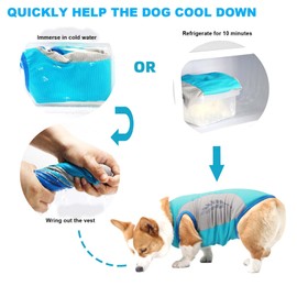 MUNSKT Dog Cooling Vest Cool coat Jacket for Dogs Soft Comfortable with Reflective Strip for Summer (Blue, XXL)