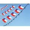 FFILL Chileans Banner Flag String,Chile Mini Flag Small Banner, for