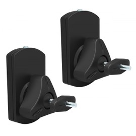 RICOO Speaker Wall Mount Bracket LH038 Tilt Swivel Small Universal Flexible Satellite Loudspeaker Holder Mounting Pair of 2 Black