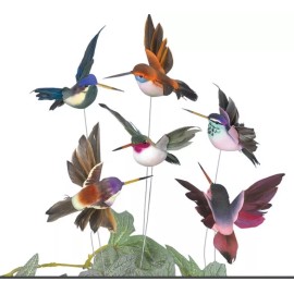 burton + BURTON 6 Hummingbird Picks Multicolored Assortment Six Different Colors Plant Natural