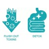 3pc 30 Day Cleanse Desintoxicación Avanzada Intestinal
