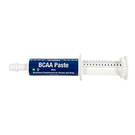 Vetsense Bcaa Paste 60Ml