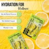 PowderVitamin Electrolytes Powder Plus, cetogénico, limonada, cero azúcar, 1000 mg