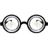 LR Supplies Black Nerd Glasses Round Thick Geek Fancy Dress