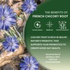 Worldwide Botanicals French Chicory Root, 1 Pound - Brew Like
