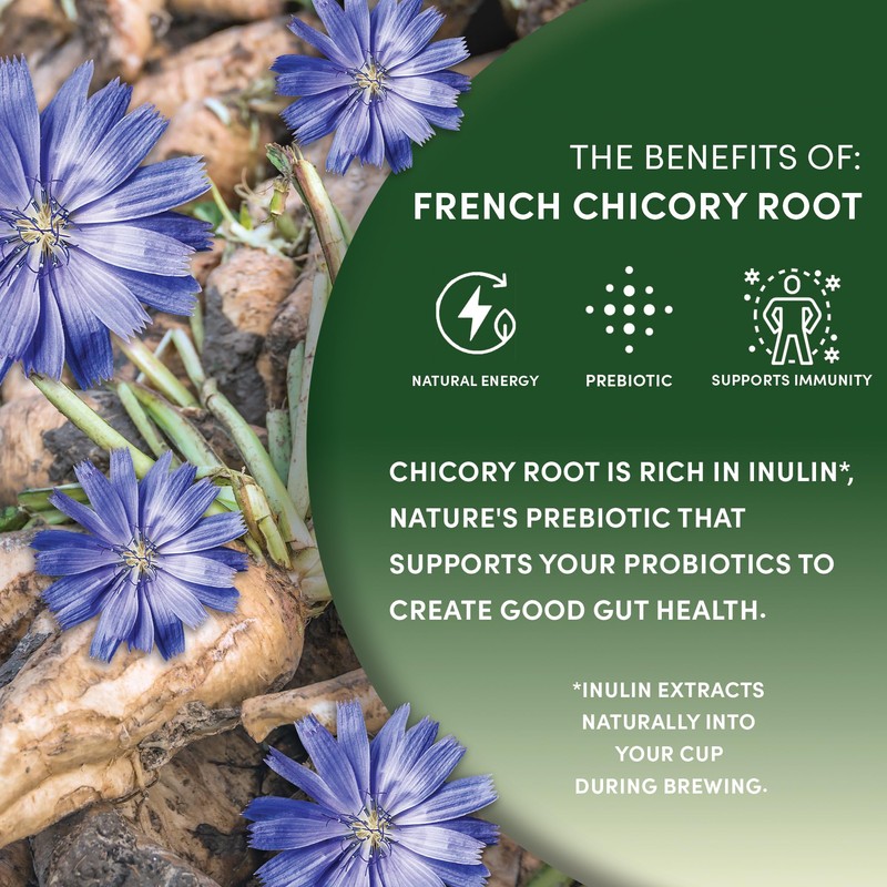 Worldwide Botanicals French Chicory Root, 1 Pound - Brew Like