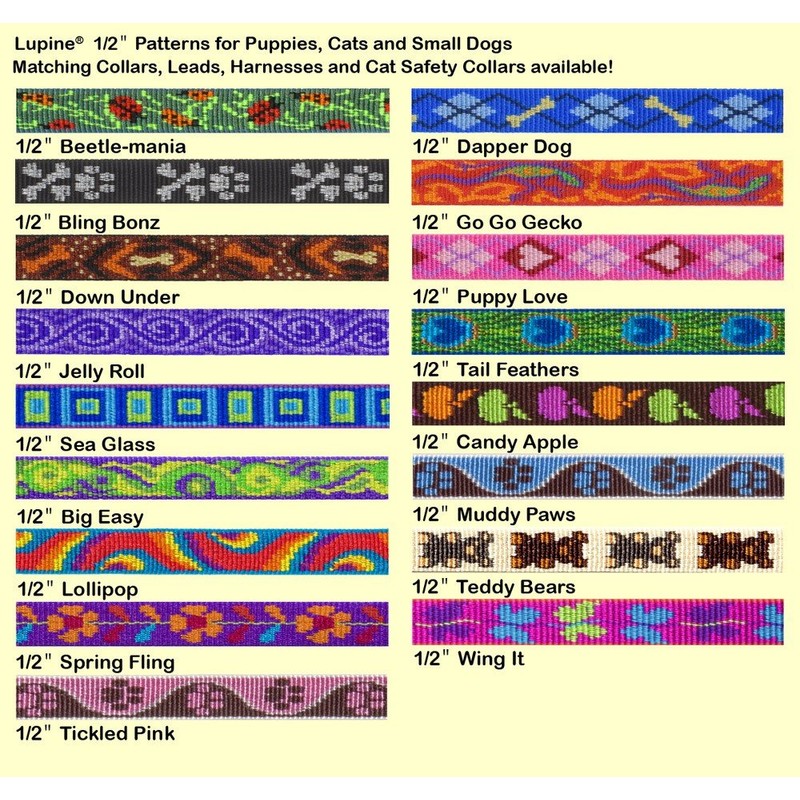 LupinePet Originals 1/2" Tail Feathers 10-16" Adjustable Collar for Small