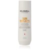 Goldwell Dualsenses Sun Reflects After-Sun Shampoo 100 ml