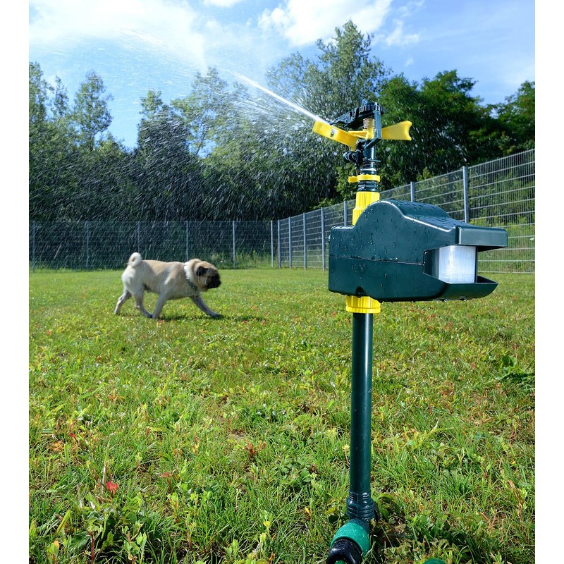 Gentle Exbuster deterrent with Wassersprinkler & Sensor