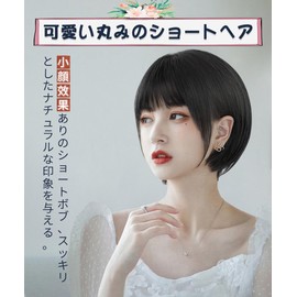 AISIHAIR Wig, Short Bob, Black, Smooth, Full Wig, Women's, Natural, Heat Resistant, Everyday Use, Net Included, Black Hair