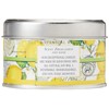 Michel Design Works Soy Wax Candle, Travel Tin Size, Lemon