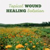 St. Francis Herb Farm Calendula Salve | 60 ml |