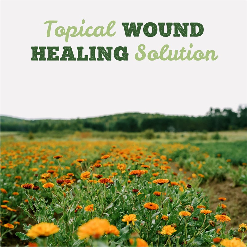 St. Francis Herb Farm Calendula Salve | 60 ml |