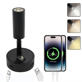 12V LED RV Reading Light with Dual Charging Ports, 3CCT Touch Control Dimmable RV Interior 12V Bedside Light Fixture Spotlight for Motor-House Camper Caravan Vehicle Vessel Boat Yacht (Black)