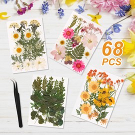 Relaxing Garden Gold Picture Frame Set - /w 68 Pcs Dried Flowers and Tweezer - Double Glass Frame for Pressed Flowers, Pressed Flower Frames for Handicrafts, Photo or Other Flat Items.