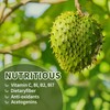 Soursop Graviola Liquid Drops 2000mg, 98% Absorption for Cell Support