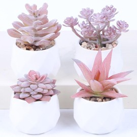 Generic 4 pcs Artificial Succulent Plants in Pots, Fake Plants, Faux Mini Succulents Plants Indoor for Desk Living Room Bedroom Windowsills Office Home Decoration, Pink, rex-1131