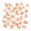Roland Picnic Shrimp, 7 Ounce (Pack of 6)