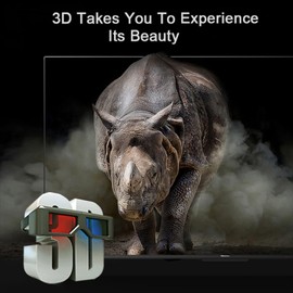 Susay® Android TV Box Android 10.0 TV Box TX3 Mini 2GB/16GB 2.4GHz WiFi 4K HD Media Player Home Entertainment Box.