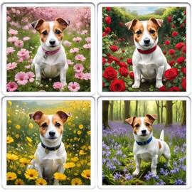 Jack Russell Dog Coaster Set. 4 different Jack Russell Terrier Dog Pictures on 10cm x 10cm Acrylic Coasters. Boxed Coaster Drip Mat Set.