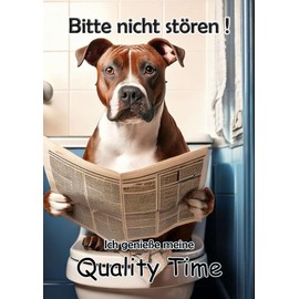 Blechschild Humor Aluminium 20x30cm - auf der Toilette mit Zeitung American Staffordshire Terrier 07