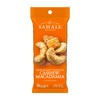 Sahale Snacks Tangerine Vanilla Cashew-Macadamia Glazed Mix,1.5 oz Grab &