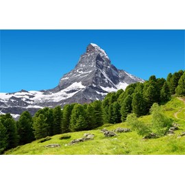 YongFoto 3 x 2 m Vinyl Photo Background Mountain Nature Landscape Grass Flea Photography Background for Photo Shoots Portrait Photos Party Children Wedding Photo Studio Props