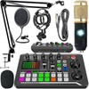 Podcast Microphone Bundle, Condenser Mic with Live Sound Card Kit,