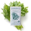 Chrysanthemum Greens Seeds - Garland Serrated Leaf -3 g Packet