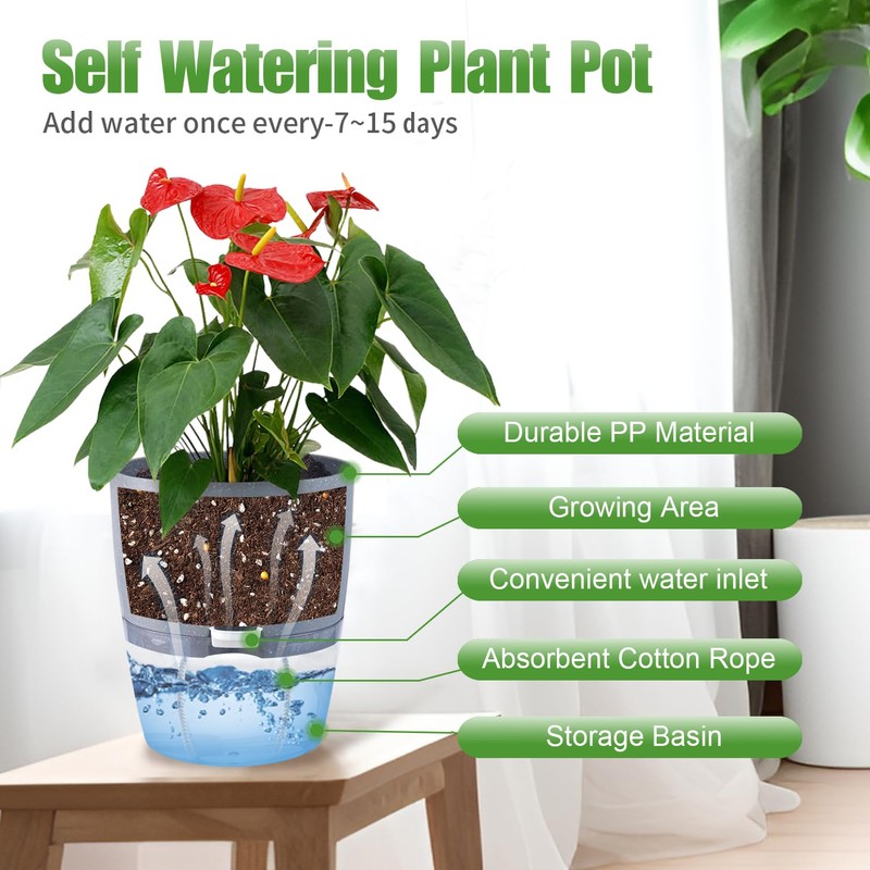 Oliz 6 Inch Self Watering Pots for Indoor Plants, 6