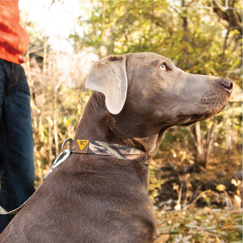 Browning Classic Dog Collar