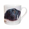 Tarka Mugs - Black Labrador