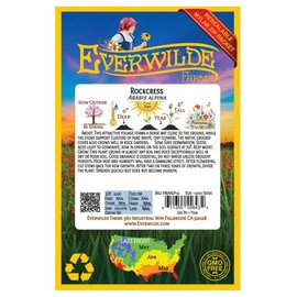 Everwilde Farms - 2000 Rockcress Native Wildflower Seeds - Gold Vault Jumbo Seed Packet