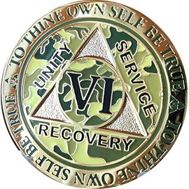 RecoveryChip 6 Year AA Medallion Reflex Camo Gold Plated Camouflage Color Chip VI