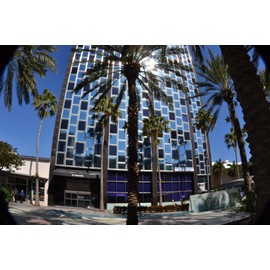 For Canon Rebel T5i T4i T3i T3 T2i T1i  XT XTi XSi, EOS 1100D 700D 650D 600D 550D 500D 100D, WORKS ON ALL CANON EOS REBEL DSLR CAMERAS, For Canon 58mm WIDE ANGLE+MACRO+2X TELEPHOTO +FILTER KIT+GIFTS FOR CANON REBEL T6 T6I XS