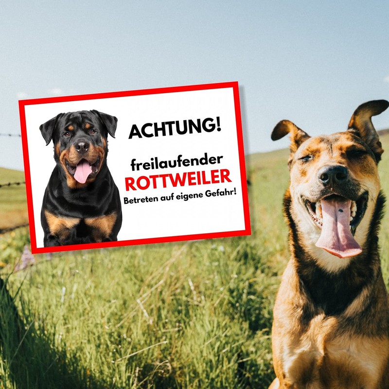 Rottweiler Freilaufender Hund Dog Sign Saying Door Sign Dog Sign