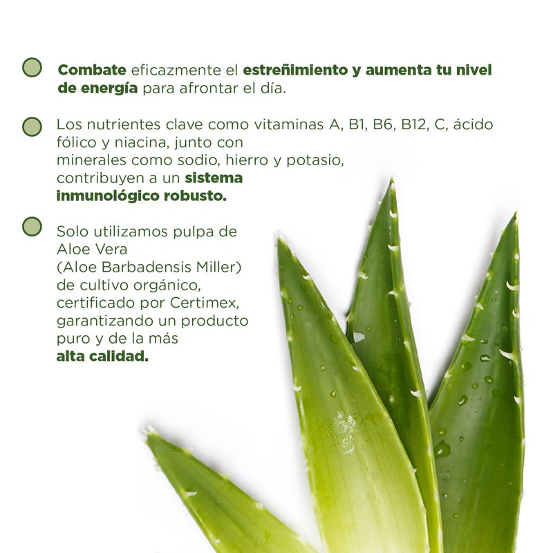 Flor de Aloe, Aloe Vera Pulpa Natural, Sabila rico en