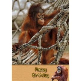 Orangutan Birthday Card