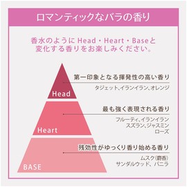 Leivy Rose Hip Premium Body Shampoo, 22.0 fl oz (650 ml)