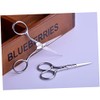 2pcs Stainless Steel Eyebrow Trimmer and Vibrissa Scissors Set for