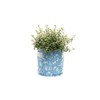 Beatrix Potter - Blue 9 Litres