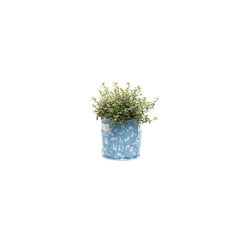 Beatrix Potter - Blue 9 Litres