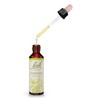 Bach Original Flower Remedies (Clematis) Live The Day, Be Focused,